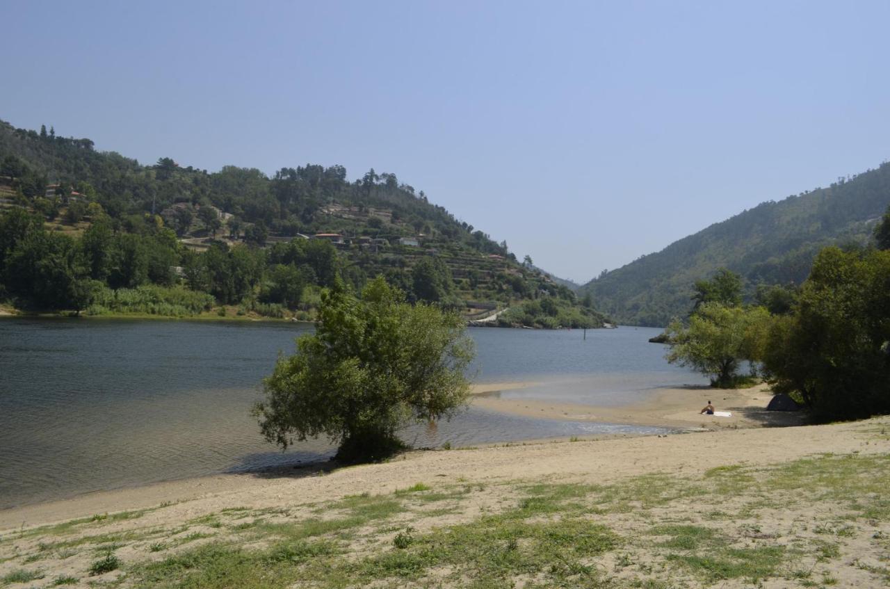 Encosta Do Douro - Rio Douro Villa Cinfães Exterior foto