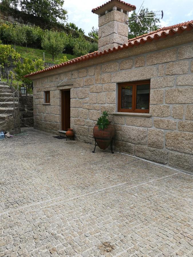 Encosta Do Douro - Rio Douro Villa Cinfães Exterior foto