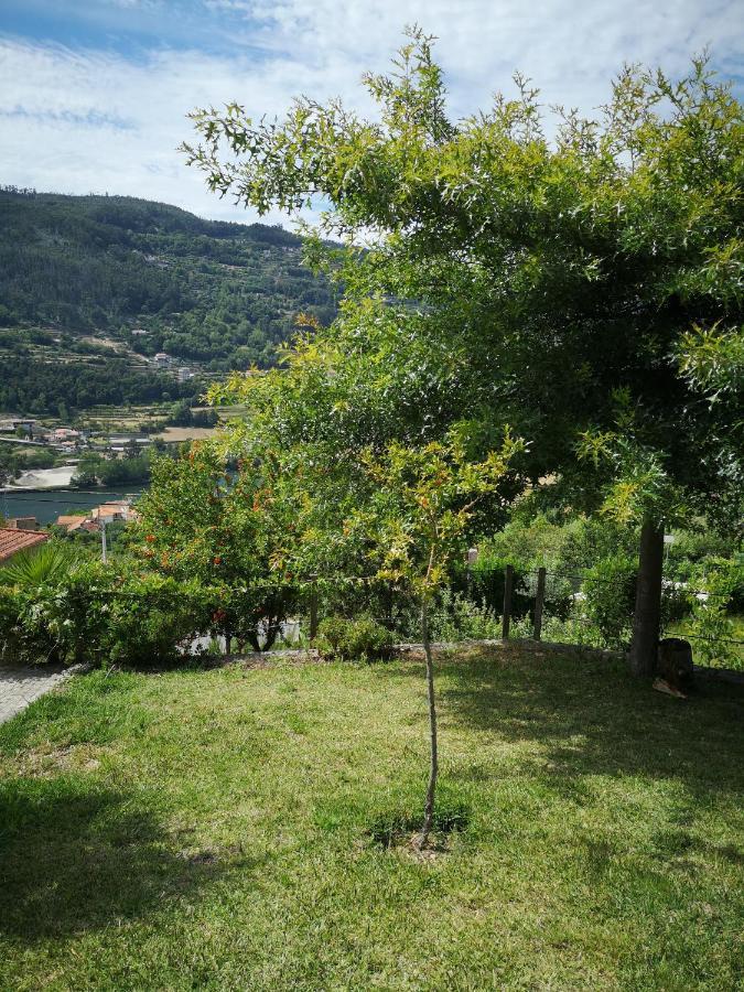 Encosta Do Douro - Rio Douro Villa Cinfães Exterior foto